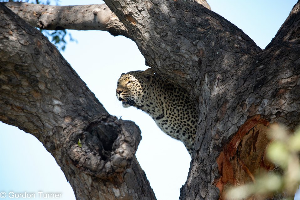 <h2>The Best of South Africa Escorted 2023</h2> 14 Nights | 6 Rounds | March 11 - 25